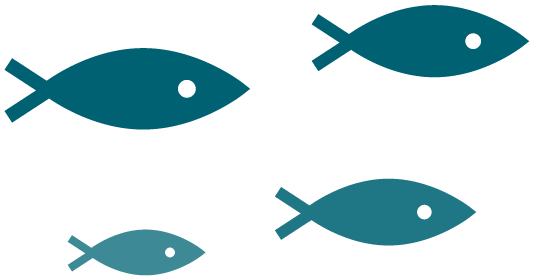 Fish display